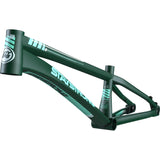 STAY STRONG FOR LIFE V4 RACE FRAME - EXPERT